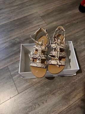 Steve Madden Multi-Tone Snake-Print Strappy Flat Sandals